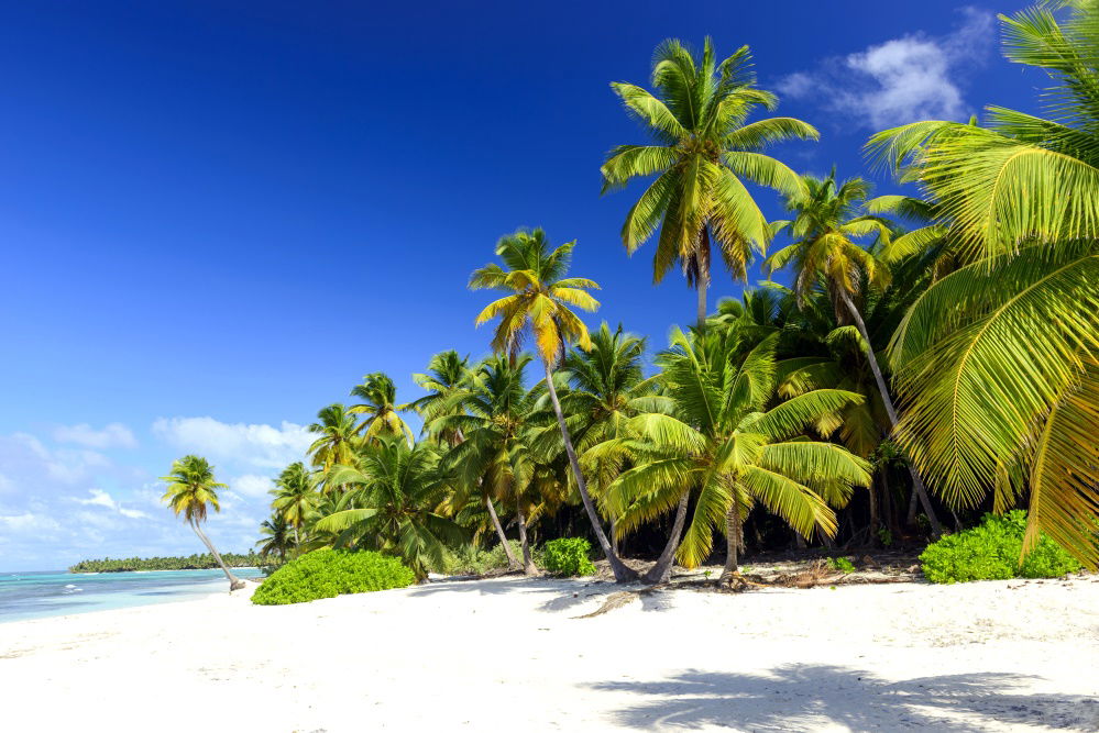 O imagine reprezentand Punta Cana