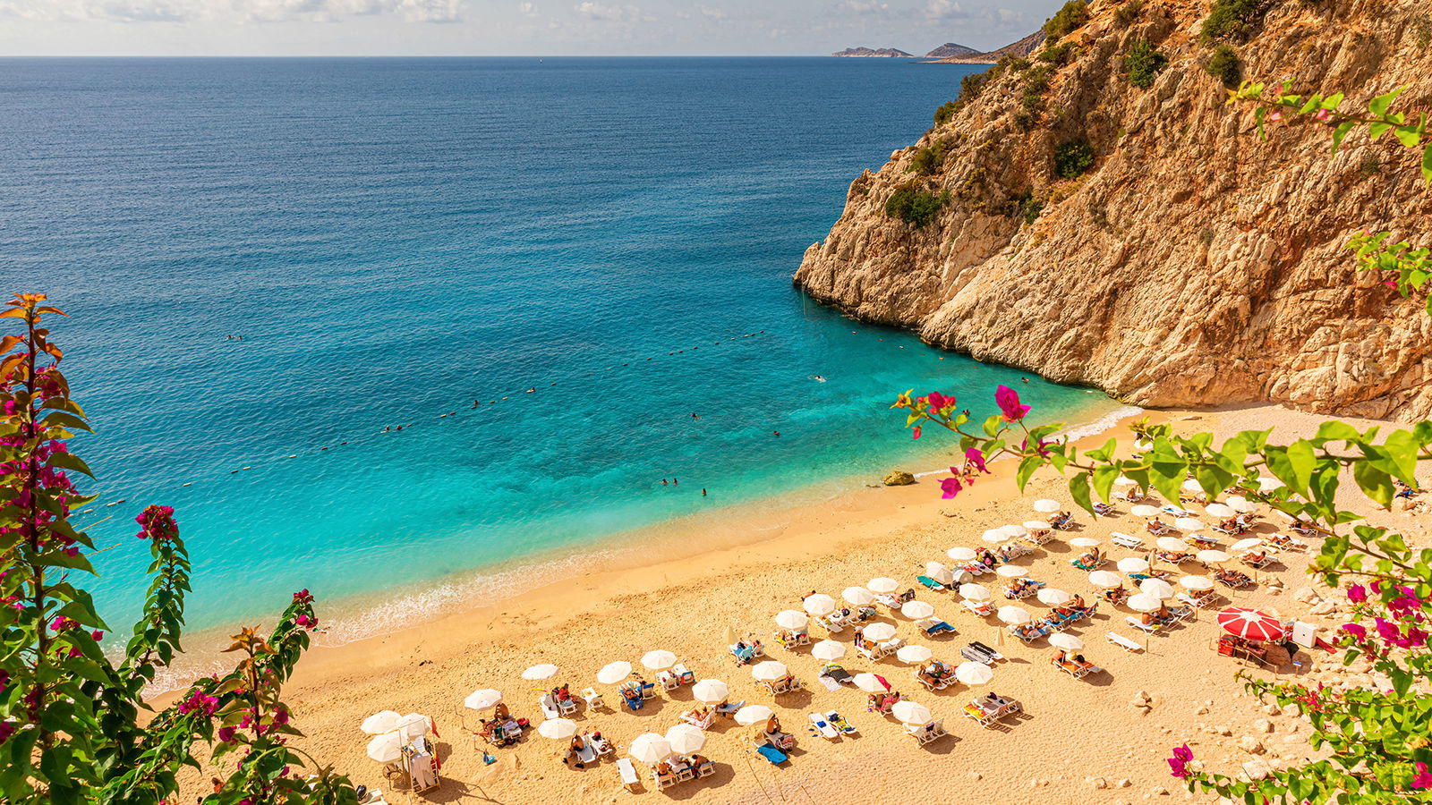 O imagine reprezentand cipru